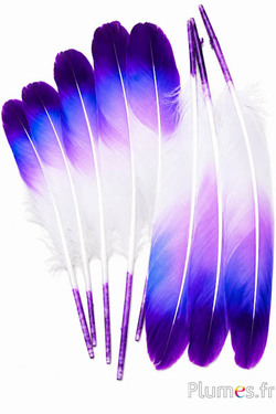Cigno seta - 25-30 cm - lilla-blue-viola